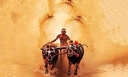 ಡಿ.27ರಂದು "ಮಂಗಳೂರು ಕಂಬಳ'; ನವ ವರ್ಷ - ನವ ವಿಧ ಪರಿಕಲ್ಪನೆ