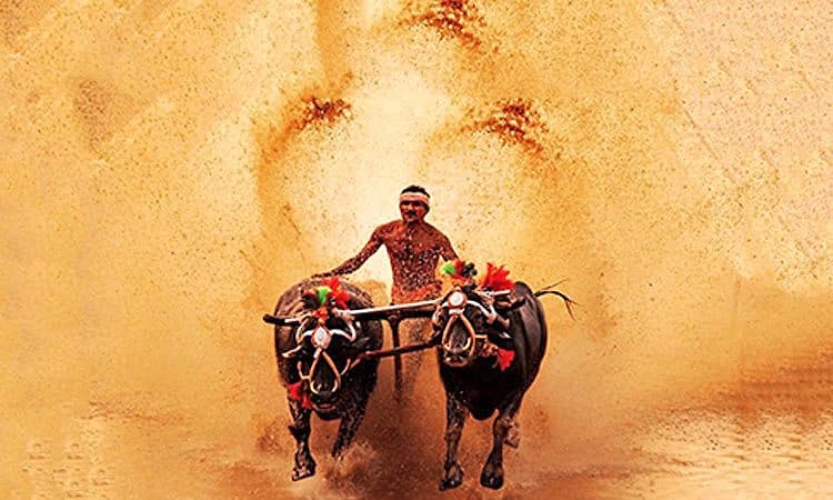 ಡಿ.27ರಂದು "ಮಂಗಳೂರು ಕಂಬಳ'; ನವ ವರ್ಷ - ನವ ವಿಧ ಪರಿಕಲ್ಪನೆ