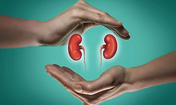 Organ Donation: ಕರಾವಳಿಯಲ್ಲಿ 18 ಸಾವಿರ ಅಂಗಾಂಗ ದಾನ ಸಂಕಲ್ಪ