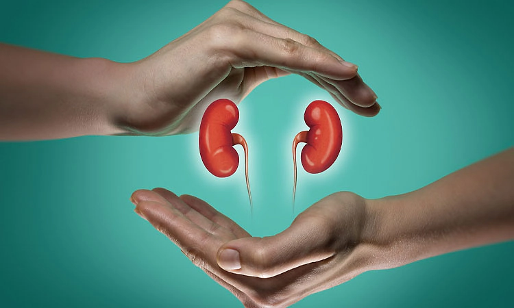 Organ Donation: ಕರಾವಳಿಯಲ್ಲಿ 18 ಸಾವಿರ ಅಂಗಾಂಗ ದಾನ ಸಂಕಲ್ಪ