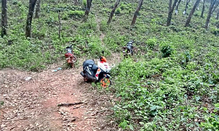 Kadaba: ಬೃಹತ್‌ ಕಾಡುಕೋಣ ಬೇಟೆ