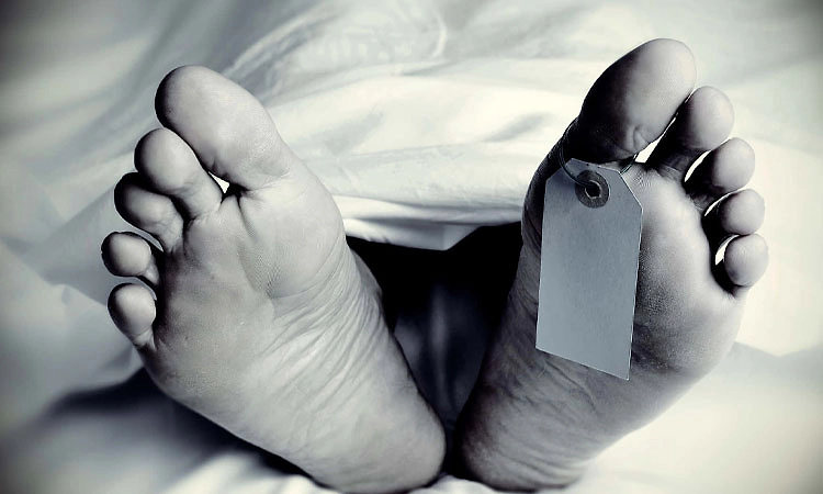 Dharmasthala: ಮರದಿಂದ ಬಿದ್ದು ಸಾವು