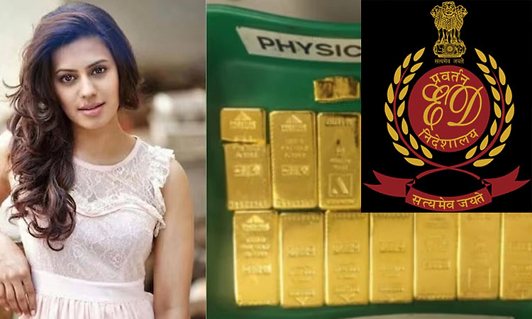 1 ವರ್ಷದಲ್ಲಿ 127 ಕೆ.ಜಿ ಚಿನ್ನ ಸಾಗಿಸಿದ್ದ ನಟಿ ರನ್ಯಾ, ಸಹಚರರು: ಇ.ಡಿ. ಚಾರ್ಜ್‌ಶೀಟ್‌