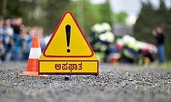 ಮರಕ್ಕೆ ಢಿಕ್ಕಿ ಹೊಡೆದು ಕಂದಕಕ್ಕೆ ಉರುಳಿದ ವ್ಯಾನ್‌ : ಚಾಲಕನ ರಕ್ಷಣೆ  