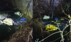 ಮೂವರು ಪುಟ್ಟ ಮಕ್ಕಳೊಂದಿಗೆ ತಾಯಿಯೂ ಬಾವಿಗೆ ಹಾರಿ ಆತ್ಮಹ*ತ್ಯೆ! 