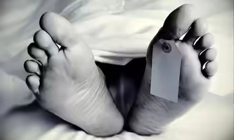 Badiyadka: ಸ್ಕೂಟರ್‌ ಮಗುಚಿ ಬಿದ್ದು ವಿದ್ಯಾರ್ಥಿಯ ಸಾವು