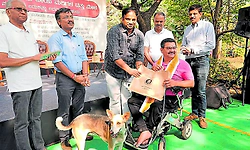 ಬೀದಿ ನಾಯಿಯನ್ನು ಭೈರೂವ ಎಂದು ಕರೆಯಿರಿ: ಆಯುಕ್ತ ಡಾ. ರಾಜೇಂದ್ರ ಕೆ.ವಿ