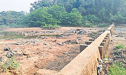 Belthangady: ಬರಿದಾಗುತ್ತಿವೆ ಕಿಂಡಿ ಅಣೆಕಟ್ಟುಗಳು