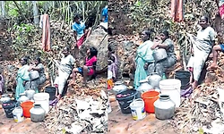 ಕಾಸರಗೋಡು ಜಿಲ್ಲೆಯ ಹಲವೆಡೆ ಜಲಕ್ಷಾಮ