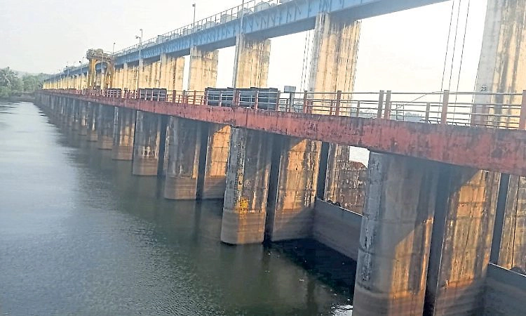 Mangaluru: ತುಂಬೆ ನೀರಿನ ಮಟ್ಟ ಭಾರೀ ಇಳಿಕೆ