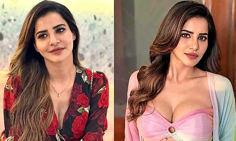 ಮದುವೆಯಾಗುವುದಾಗಿ ಕೋಟಿ ಕೋಟಿ ಹಣ ಲೂಟಿದ ಬಿಗ್‌ ಬಾಸ್ ಬ್ಯೂಟಿ.! – ದೂರು ದಾಖಲು