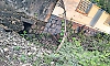 Udupi: Drainage cleaning moves at a snail's pace despite approaching monsoons
