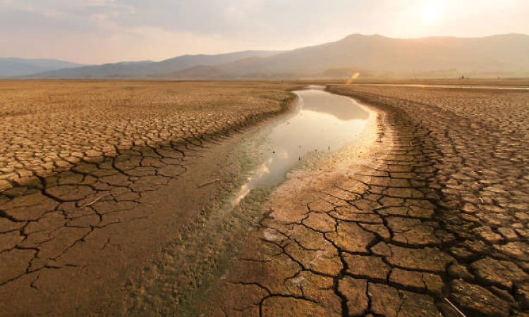 Climate change could weaken lake's natural purification process, study suggests
