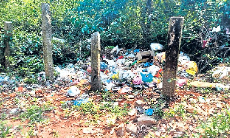 Udupi: ಸಂತೆಕಟ್ಟೆ ವಾರ್ಡ್‌: ಚರಂಡಿಯದ್ದೇ ಕಿರಿಕಿರಿ