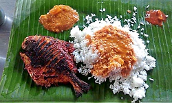 Maach bhaat: ಪಶ್ಚಿಮ ಬಂಗಾಳದ ಕ್ಯಾಂಟೀನ್‌ಗಳಲ್ಲಿ ಇನ್ನು ಕೇವಲ 5 ರೂ.ಗೆ ಮೀನು ಊಟ