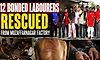 No vegetables, little sleep and cattle-feed rotis: Rescued labourers recount harrowing tales