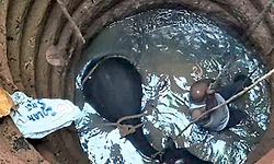 ಕೇಪು: ಬಾವಿಗೆ ಬಿದ್ದ ದನದ ರಕ್ಷಣೆ