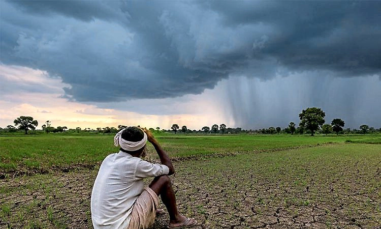 ಕೈಕೊಟ್ಟ ಮುಂಗಾರು: ರೈತರಿಗೆ ಬೆಳೆ ನಷ್ಟ ಭೀತಿ!