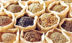 ಬುಡಕಟ್ಟು ಕುಟುಂಬಗಳಿಗೆ ಸಿಗದ ಪೌಷ್ಟಿಕ ಆಹಾರ ಕಿಟ್‌