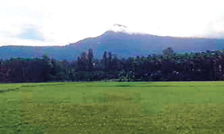 ಕಾಡು ಉಳಿಸುವ ಜತೆ ನಮ್ಮ ಬದುಕನ್ನೂ ಉಳಿಸಿ; ಇದುವರೆಗೆ ನಡೆದುಬಂದ ಹಾದಿಯಲ್ಲಿ ಮತ್ತೊಂದು ತಿರುವು