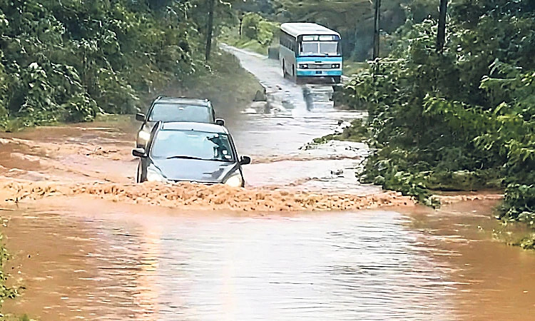 ಧಾರಾಕಾರ ಮಳೆ: ಪುಣ್ಚತ್ತಾರು ಸೇತುವೆ ಮುಳುಗಡೆ: ಪುತ್ತೂರು-ಸುಬ್ರಹ್ಮಣ್ಯ ರಸ್ತೆ ಬಂದ್‌