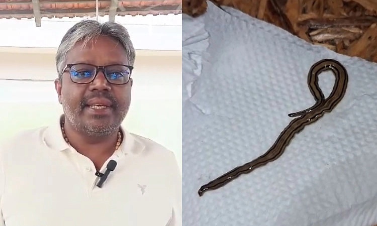 ಚಿಕ್ಕಮಗಳೂರು: 'ಫ್ರೂಟ್ ಸಲಾಡ್‌ನಲ್ಲಿ ಹುಳು ಪತ್ತೆ' ಷಡ್ಯಂತ್ರ ಎಂದ ಹೋಟೆಲ್! 