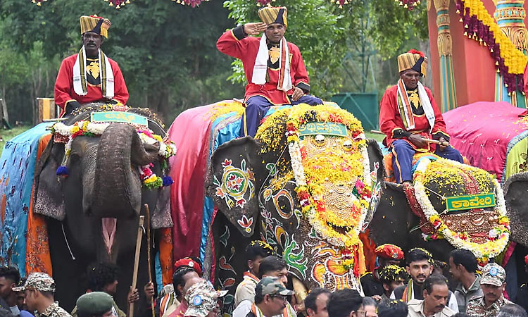 Mysore: 26 ವರ್ಷ ದಸರೆಯಲ್ಲಿ ಮೆರೆದಿದ್ದ ‘ಕ್ಯಾಪ್ಟನ್‌’ಗೆ ಭಾವುಕ ಬೀಳ್ಕೊಡುಗೆ