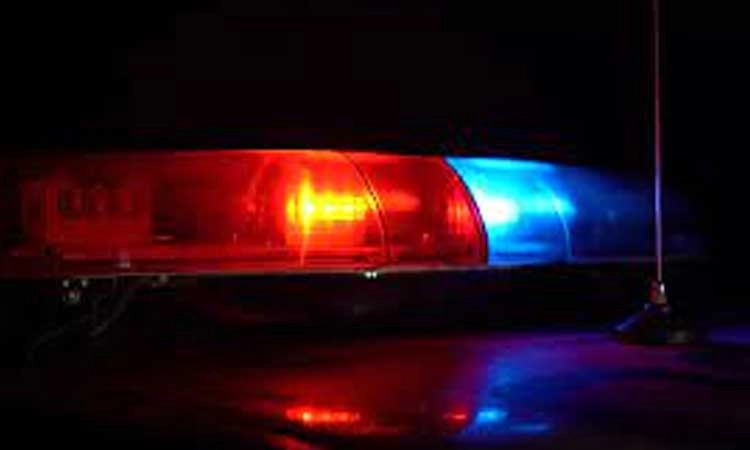 Bantwal: ಗಾಂಜಾ ಸಾಗಾಟ... ಆರೋಪಿ ಪರಾರಿ