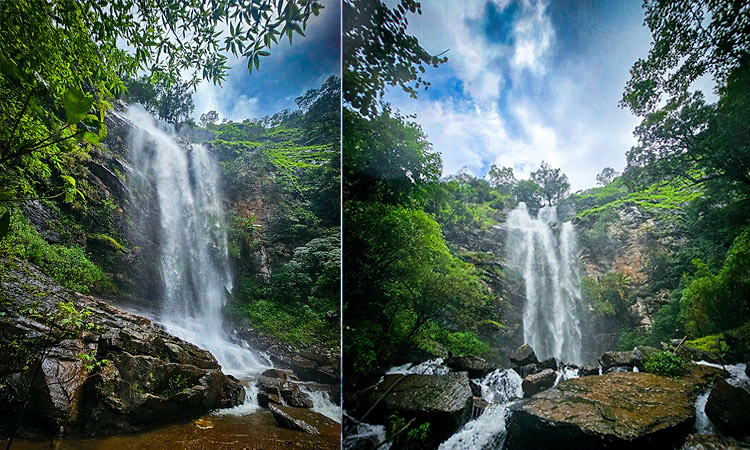 World Tourism Day: ಕಾಡಿನೊಳಗೆ ಅಡಗಿದ್ದ ಆ ಜಲಪಾತ....