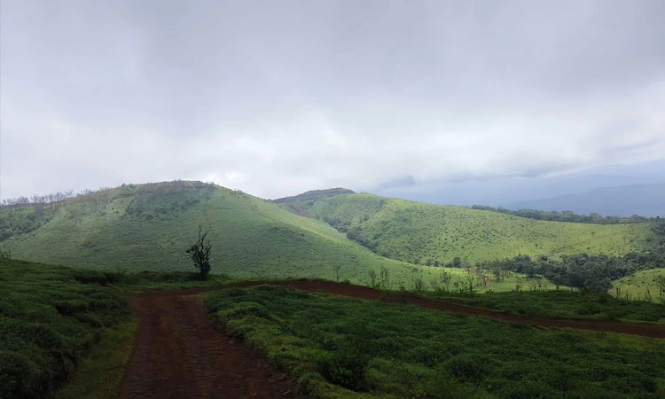 ʼಬೈಕಿಂಗ್‌ʼ ತಂಡ ಮತ್ತು ಪ್ರವಾಸದ ಹವ್ಯಾಸ..
