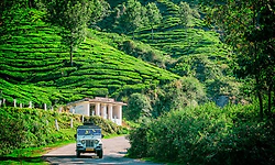 India's green cover shrank from 36.9 pc in 2001 to 31.35 pc in 2025: Study