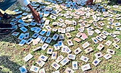 Hundreds of voter ID cards found on Narmada riverbank; Congress demands probe