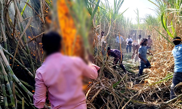 Kulageri Cross: ವಿದ್ಯುತ್ ಶಾರ್ಟ್ ಸರ್ಕ್ಯೂಟ್‌ನಿಂದ 8 ಎಕರೆಗೂ ಅಧಿಕ ಕಬ್ಬು ಬೆಳೆ ಭಸ್ಮ