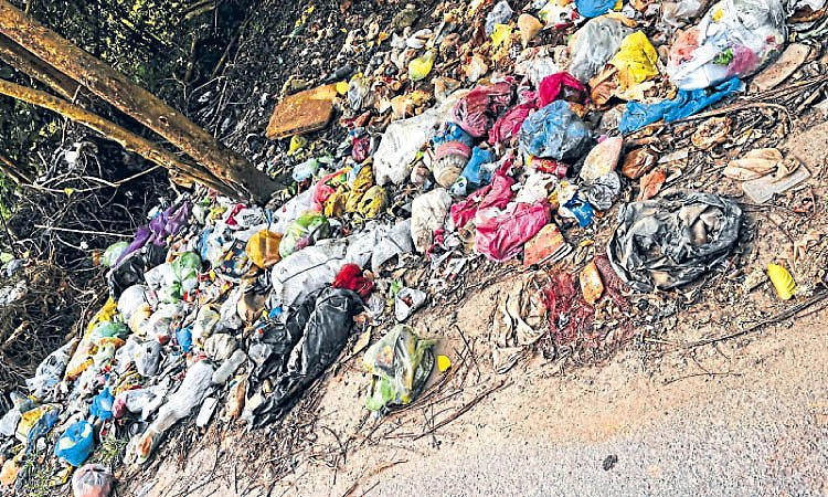 Surathkal: ಆರ್ಥಿಕ ವಲಯ ರಸ್ತೆ ಅಪಘಾತ ವಲಯ!