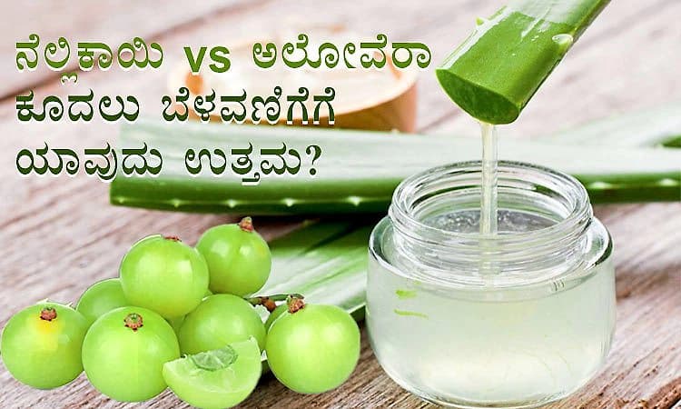 Hair Growth: ನೆಲ್ಲಿಕಾಯಿ vs ಅಲೋವೆರಾ: ಕೂದಲು ಬೆಳವಣಿಗೆಗೆ ಯಾವುದು ಉತ್ತಮ?