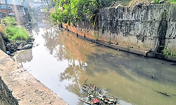 Mangaluru; ರಾಜಕಾಲುವೆ ಹೂಳೆತ್ತಲು ಸಕಾಲ