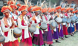 Kota: ಹಟ್ಟಿ ಮುದ್ದ ಹಕ್ಕಿಯ ಗರಿಗಳ ಬೇಟೆಯೇ ರೋಚಕ!