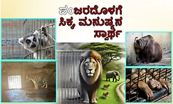 Zoo: ಪಂಜರದೊಳಗೆ ಸಿಕ್ಕ, ಮನುಷ್ಯನ ಸ್ವಾರ್ಥ