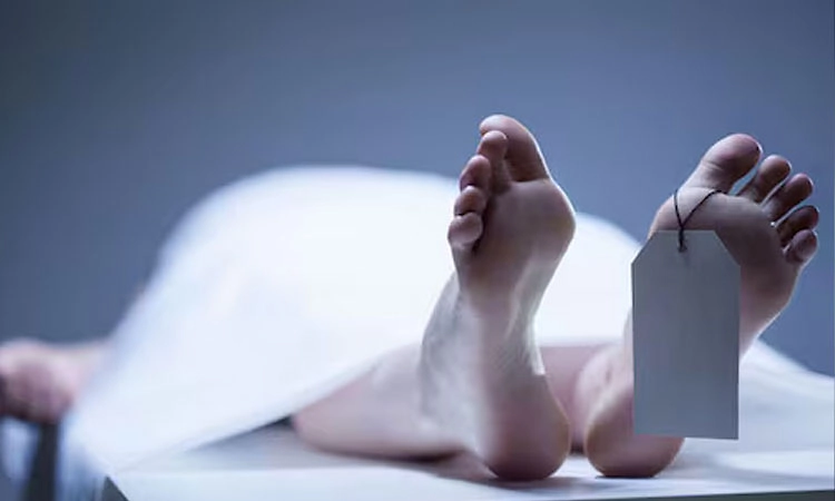 Savanur: ರಿಕ್ಷಾ ಪಲ್ಟಿಯಾಗಿ ಓರ್ವ ಸಾವು