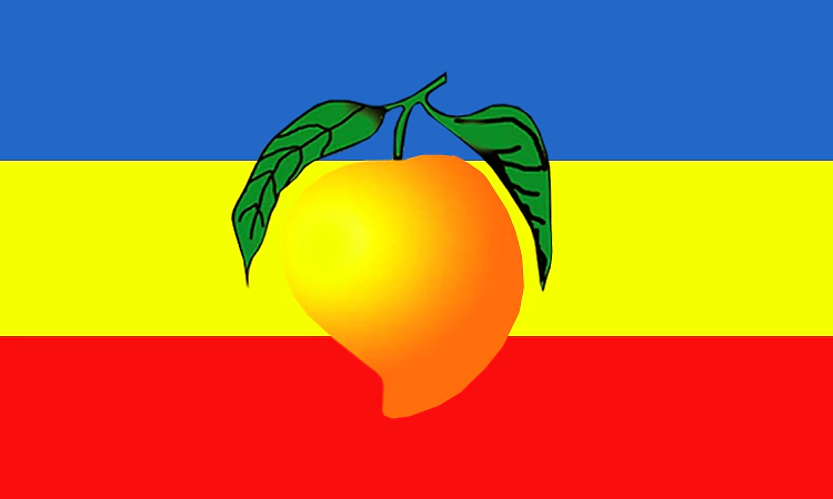 Chennai court declines to freeze PMK's mango symbol