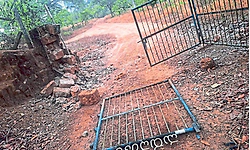 ಮರುವಂತಿಲ: ಮತ್ತೆ ಕಾಡಾನೆ ಉಪಟಳ: ಕೃಷಿ ಧ್ವಂಸ; ಗ್ರಾಮಸ್ಥರಲ್ಲಿ ಆತಂಕ