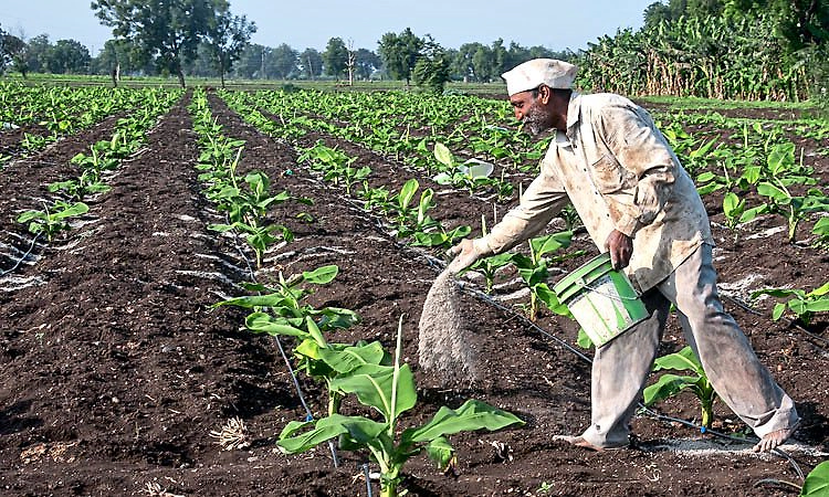 ಯುದ್ಧ ಎಫೆಕ್ಟ್ : ವಿಶ್ವಾದ್ಯಂತ ರಸಗೊಬ್ಬರ ಅಭಾವ ಸಾಧ್ಯತೆ