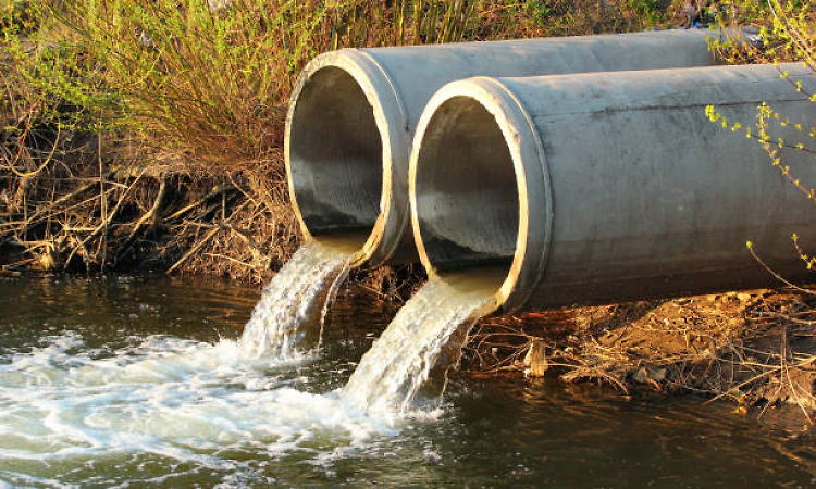 Udupi: Only 25 rupees fine for releasing sewage into the river!