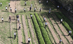 ನೀಟ್‌ಗೆ ಮೊದಲು ಬಿಎಸ್ಸಿ ಕೃಷಿಗೆ ಪ್ರವೇಶ ಪರೀಕ್ಷೆ 