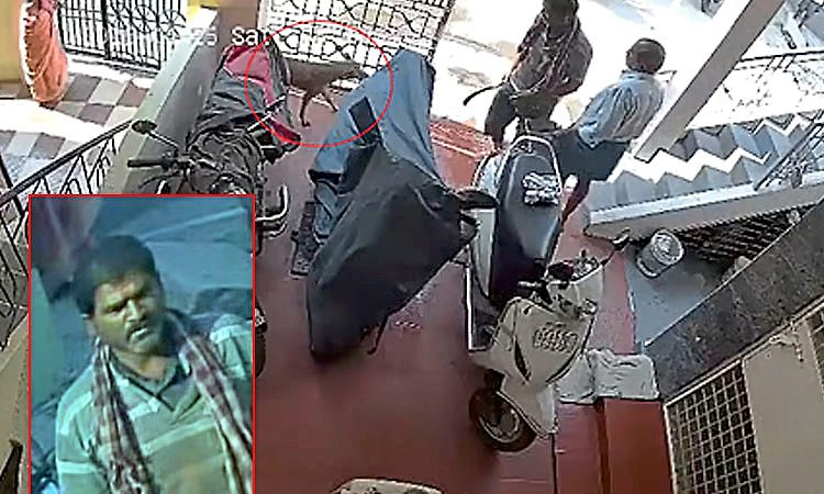 Bengaluru: ಮಚ್ಚಿನಿಂದ ಬೀದಿ ನಾಯಿಯ ಕೊಚ್ಚಿದ ಎಳನೀರು ವ್ಯಾಪಾರಿ!