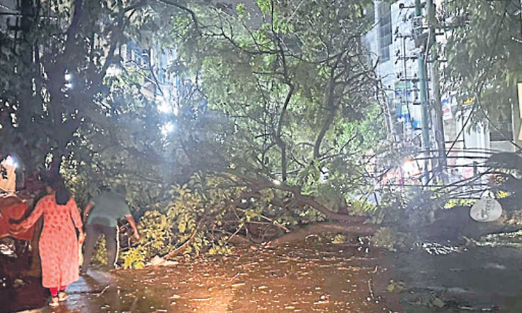 Bengaluru: ನಗರದಲ್ಲಿ ಮತ್ತೆ ವರುಣನ ಆರ್ಭಟ : ಮನೋರಾಯನ ಪಾಳ್ಯ ದಲ್ಲಿ 5.5 ಸೆಂ.ಮೀ ಮಳೆ