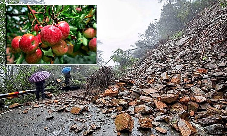 Shimla: ಭೂಕುಸಿತದಿಂದ ಸೇಬು ತೋಟಕ್ಕೆ ಹಾನಿ; ಕೊನೆಗೂ 1.80 ಕೋಟಿ ಪರಿಹಾರ ನೀಡಲು ಒಪ್ಪಿದ NHAI