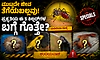 Animals: ಮುಟ್ಟದೇ ಜೀವ ತೆಗೆಯಬಲ್ಲವು..! ಪ್ರಕೃತಿಯ ಈ 5 ಕಿಲ್ಲರ್‌ಗಳ ಬಗ್ಗೆ ಗೊತ್ತೇ?