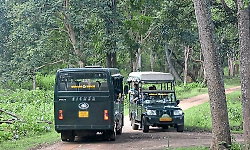 Karnataka government approves full-scale jungle safari at Bandipur and Nagarahole
