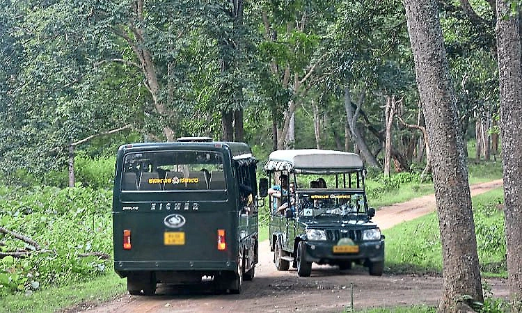 Karnataka government approves full-scale jungle safari at Bandipur and Nagarahole